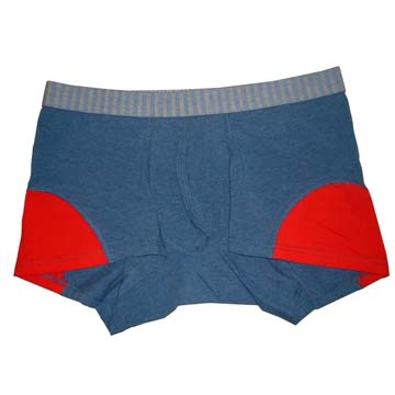 men`s boxer (men`s boxer)