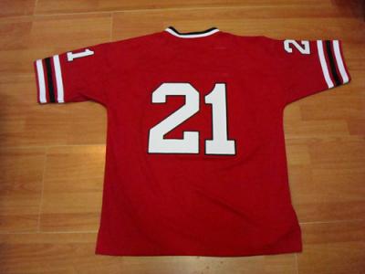 sport jerseys (спортивные трикотажные изделия)