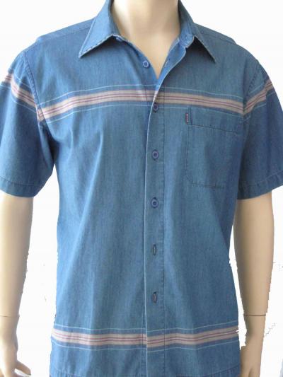 denim shirt (denim shirt)
