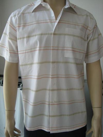 men`s shirt (men`s shirt)