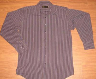 Men`s shirts L/S (Men `s shirts L / S)