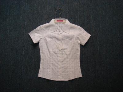 ladies` shirts (ladies` shirts)