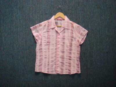 Ladies` Blouse (Дамские блузки)