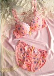 women`s bra set (women`s bra set)