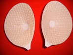 silicone bra