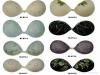silicone adhesive bra (Бюстгальтер силиконовый клей)
