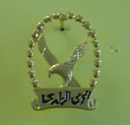 badge (Знак)