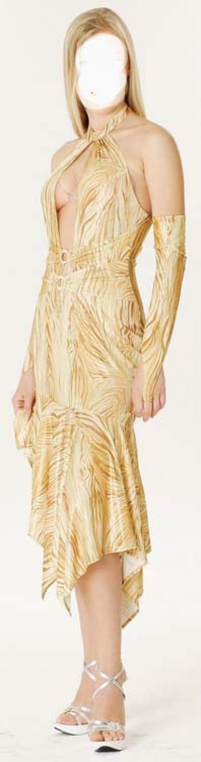 Women`s Dresses (Women `s Robes)