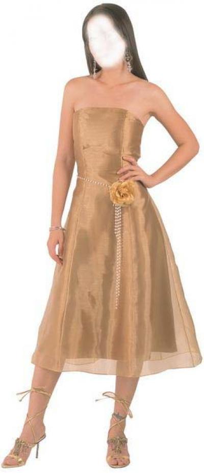 Evening Dresses (Robe de soirée)