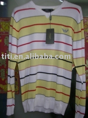 Fashion Sweater (Fashion Sweater)