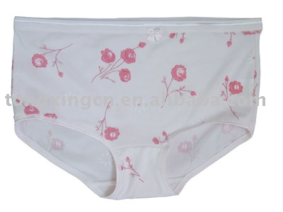 Briefs