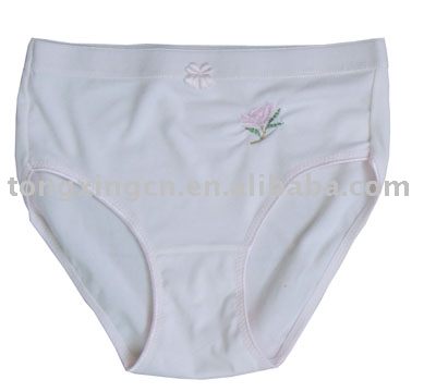 Briefs
