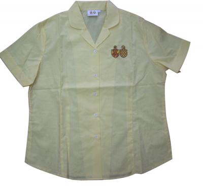Ladies shirt (Ladies shirt)