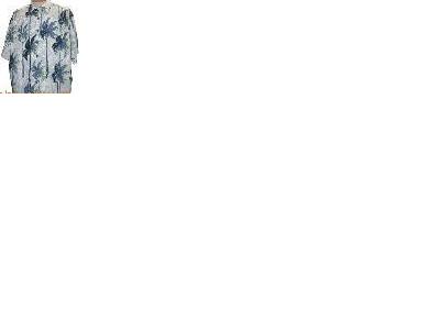 Hawaiian Aloha shirt (Hawaiian Aloha shirt)