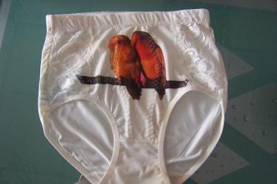 sublimation underwear (сублимация белье)
