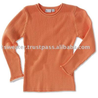 Men`s Sweater (Men`s Sweater)