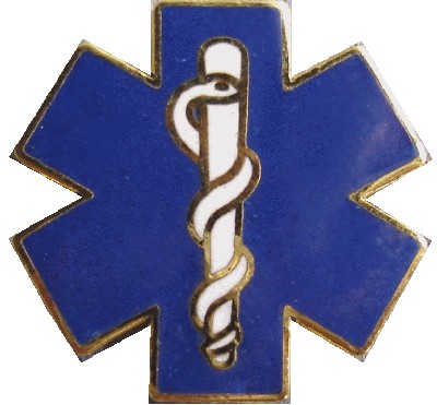 Cloisonne Metal Badges (Cloisonné Metal Badges)