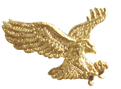 Stamped W/O Coloring Metal Badges (Штампованные W / O Покраска металла Значки)