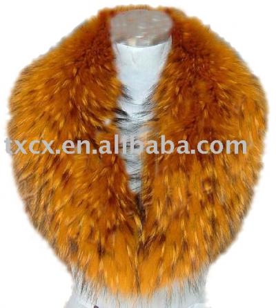 Raccoon Collar (Raccoon Collar)