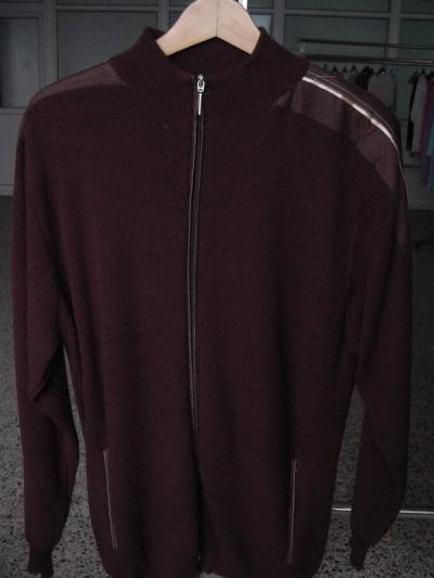 Men`s garment (Men`s garment)
