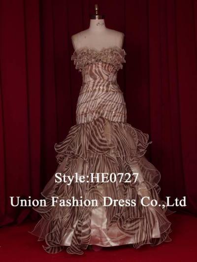 Fashion Evening Dress
