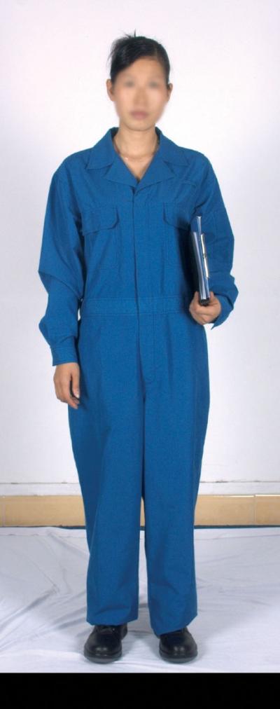 NOMEXIIIA work suit (UNX034) (NOMEXIIIA Arbeitsanzug (UNX034))