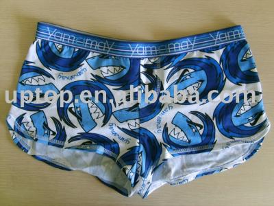 underwear (underwear)