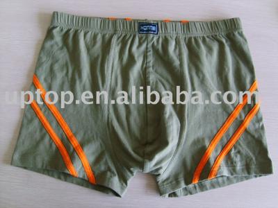 underwear (underwear)