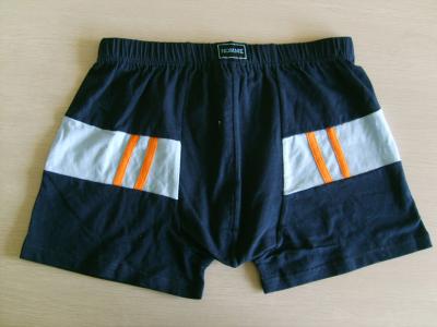 underwear (underwear)