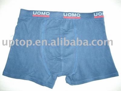 underwear (underwear)