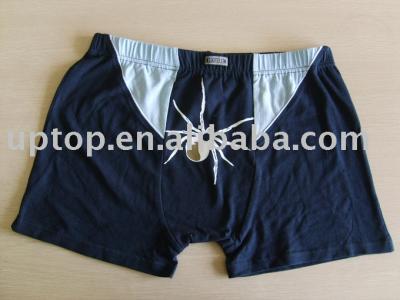 underwear (underwear)