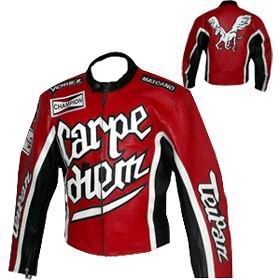 Motorcycle Jackets (Motorcycle Jackets)