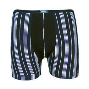 Men`s Boxer (Men `s Boxer)