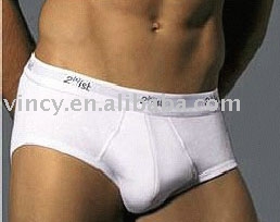 Man`s Underwear (Man`s Underwear)