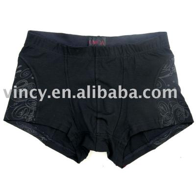 Man`s Underwear (L `homme sous-vêtements)