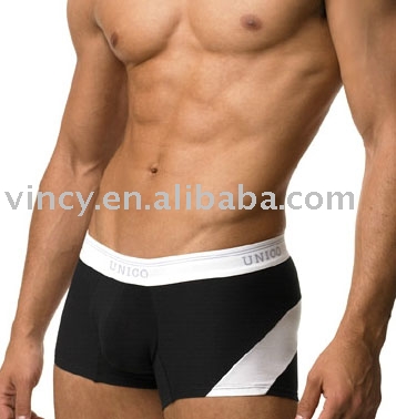 Man`s Underwear (L `homme sous-vêtements)