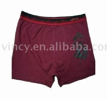 Man`s Underwear (L `homme sous-vêtements)