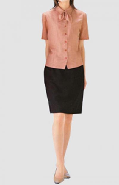 ladies` blouses (ladies` blouses)