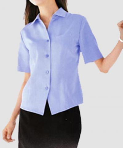 shirt, ,ladies` shirt, short sleeve shirt,clothing,apparel, (shirt, ,ladies` shirt, short sleeve shirt,clothing,apparel,)