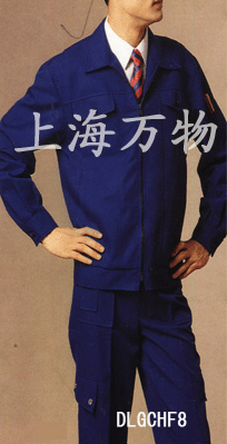 working uniform,workwear,hotel uniform,ladies` clothes,ladies` uniform,ladies` s (рабочая форма, спецодежда, гостиница форме, Дамские одежды, Дамские равномерная, дамы `S)