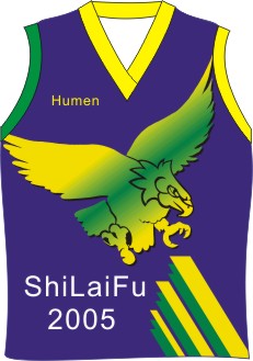 fashion jersey