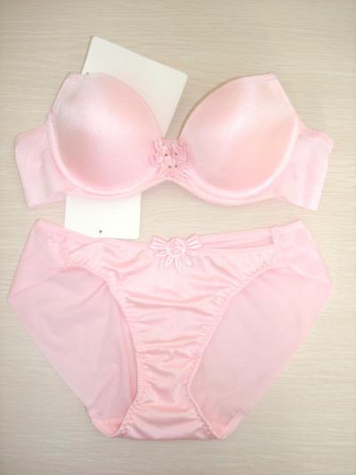 bra and panty (bra and panty)