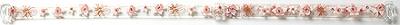 brassiere strap (brassiere strap)