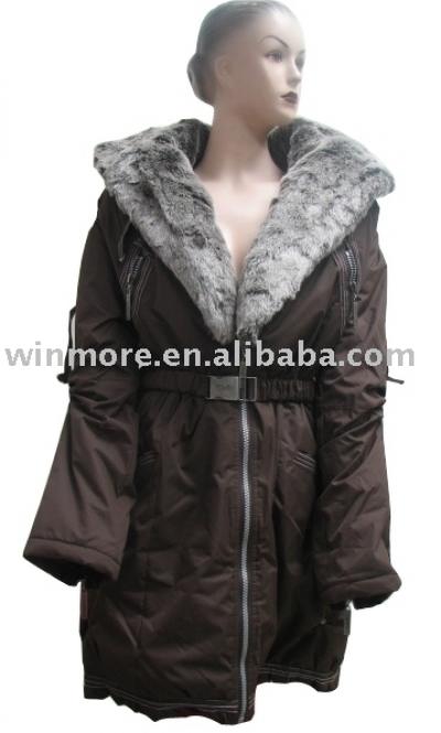 Lady`s Coat (Lady`s Coat)