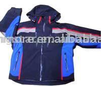 Men`s Ski Jacket (Men`s Ski Jacket)