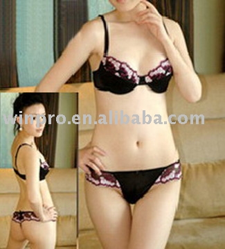 Women`s Lingerie (Women `s Lingerie)