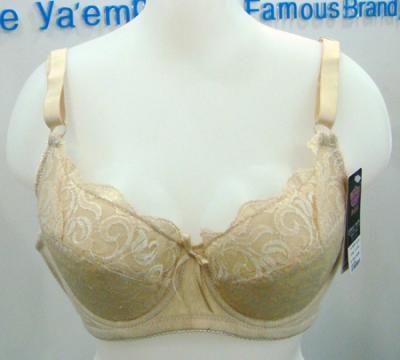 bra (bra)