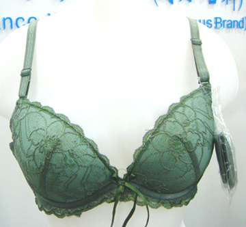 bra (bra)