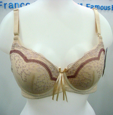 bra (bra)