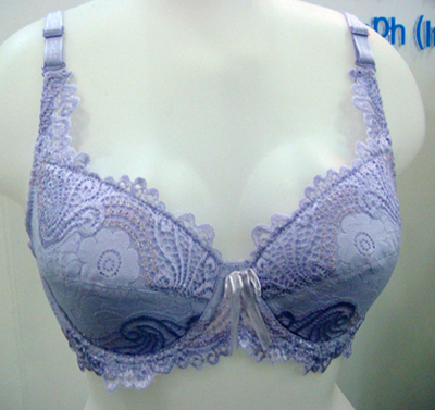 bra (bra)
